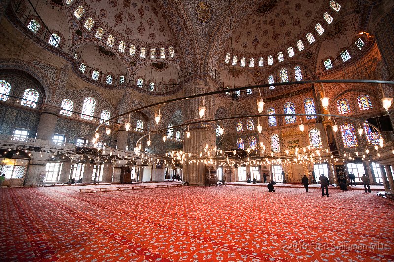 20100401_063604 D3.jpg - Interior, Blue Mosque.  The name is taken from the color of the Iznik tiles used throughout